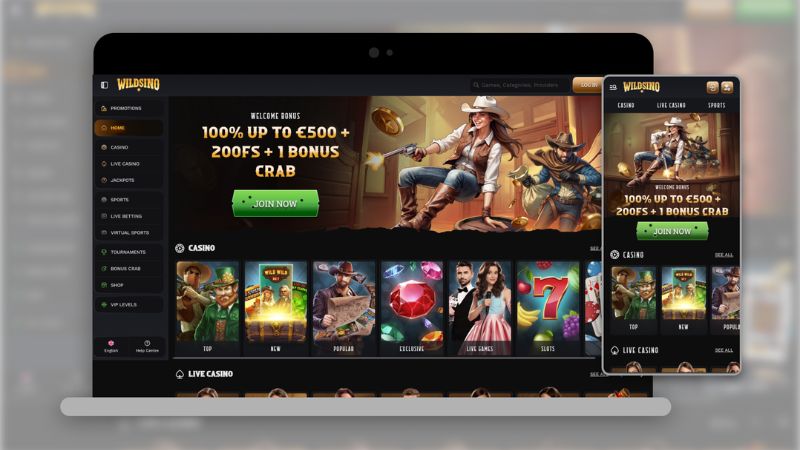 Wildsino Casino NZD deposit screen